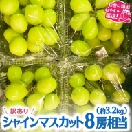 田舎の頑固おやじが厳選！シャインマスカット8房相当（約3.2kg） [BIC2-NT]