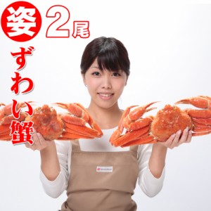 ＼早割／蟹祭り 送料無料 姿ずわい蟹 2尾（約1.5kg前後） ズワイガニ