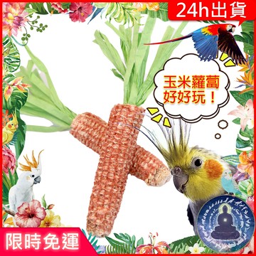 【寵物覺醒24h出貨】蘿蔔玉米梗磨牙鸚鵡玩具鸚鵡用品倉鼠黃金鼠三線鼠老公公鼠一線鼠