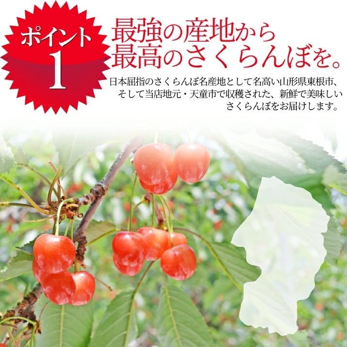 お中元 さくらんぼ 紅秀峰 2L 700g (350g×2) 山形 秀品 2024 山形県産 サクランボ 化粧箱入り 送料無料 お中元 ギフト 贈り物 贈答