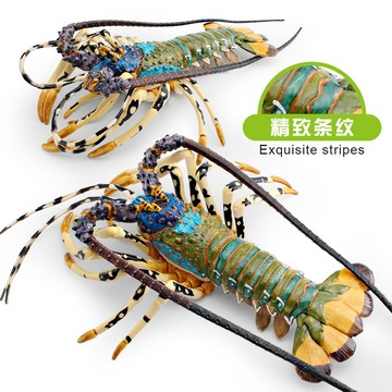 🌈「探夢動物模型」兒童仿真海洋動物波紋龍蝦模型澳洲龍蝦青龍蝦海底生物擺件