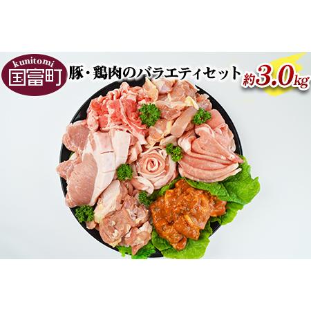 ふるさと納税 ＜豚・鶏肉のバラエティセット（重量約3.0ｋｇ）＞翌月末迄に順次出荷【 豚肉と鶏肉のセット 国産豚肉 国産鶏肉 豚 肉 豚肉 鶏 肉 .. 宮崎県国富町