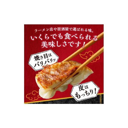 ふるさと納税 山梨県 富士吉田市 こだわりつづけた無敵味！富士山北麓餃子60個！