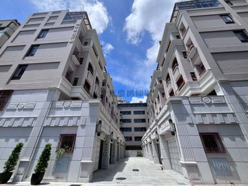 專約降價!優秀賞衛武營優質百坪電梯雙車墅全新未住｜高雄市鳳山區新樂街