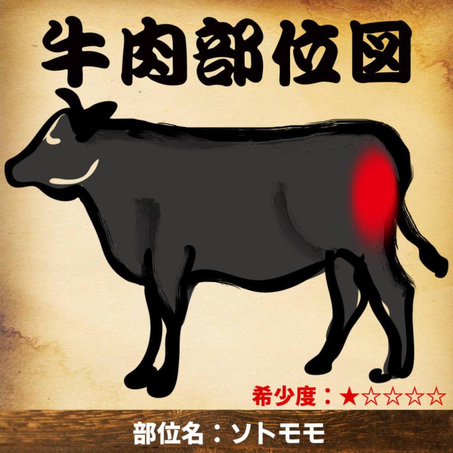 ソトモモ 約15kg 黒毛和牛 A5ランク 5等級 牛もも肉 牛モモ肉 国産牛 ブロック 業務用 贈答品 ギフト ブランド牛