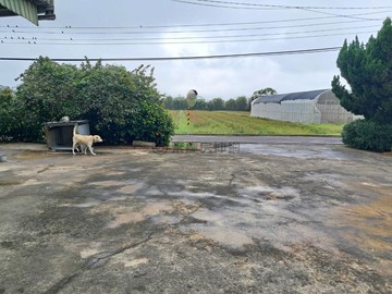 近台66縣 觀音區 正嘉富路美農地+合法農舍｜桃園市觀音區嘉富路