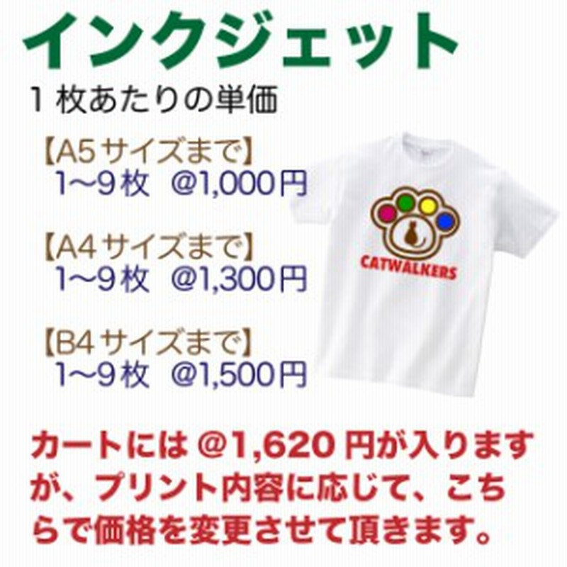 インクジェットプリント クラスtシャツ チームtシャツ 職場 お揃い ユニフォーム オリジナル ロゴ イラスト 通販 Lineポイント最大get Lineショッピング