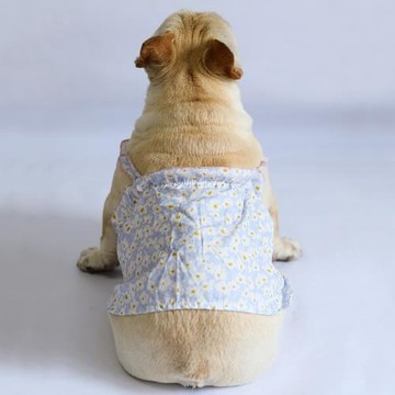 IBEANS狗狗裙寵物裙子透氣吊帶花邊夏季衣服小純棉透氣小型犬適用