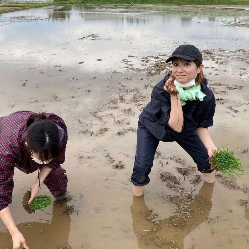 水菜土農園精米新米 令和5年産 秋田県産 あきたこまち 15kg (5kg×3袋) 古代米お試し袋付き