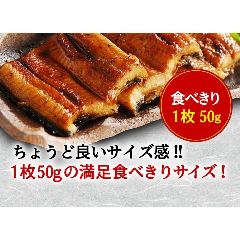 うなぎ 国産 送料無料 1kg 鹿児島県産鰻 極上蒲焼き メガ盛りAセット カット蒲焼10食 きざみ蒲焼10食 合計20食 クール