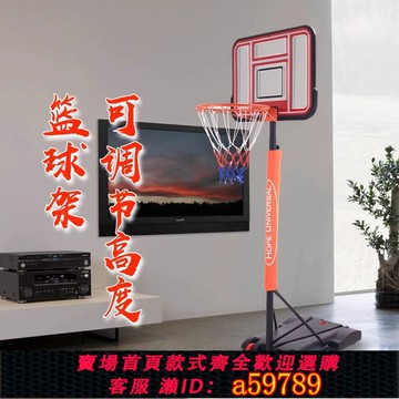 【全網低價 可打統編】籃球架兒童家用投籃籃框室外青少年成人標準籃筐戶外可移動籃球架