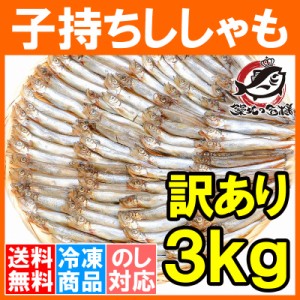 送料無料 訳あり ししゃも 3kg 1kg ×3袋 業務用子持ちシシャモ 樺太シシャモ カラフトシシャモ カペリン 柳葉魚 ノルウェー・カナダ産