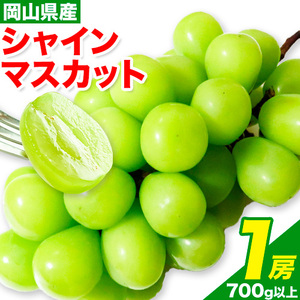 シャインマスカット 1房 700g ウィズフラワーホールディングス《9月上旬-10月中旬頃出荷》岡山県 浅口市 ぶどう マスカット フルーツ 旬 果物 国産 岡山県産 送料無料 冷蔵