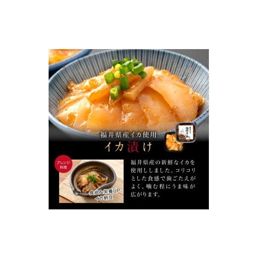 ふるさと納税 福井県 福井市 海鮮漬け イカ 120g×2パック（2〜4食分）[A-088011]