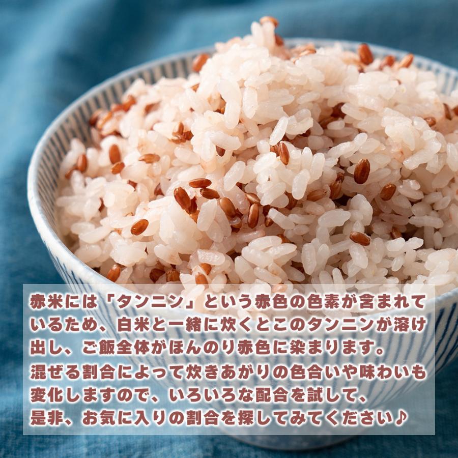 セール 国産 赤米 450g お試し 新米 令和4年産 古代米 雑穀 雑穀米 ダイエット 置き換え 食品 送料無料