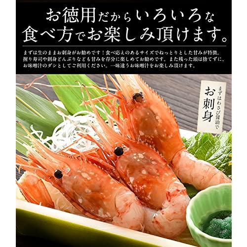 港ダイニングしおそう ボタンエビ 500g（約11〜12尾入り） ぼたんえび 牡丹海老 海老 エビ えび ボタン海老 冷凍エビ 冷凍えび 冷凍 冷凍食