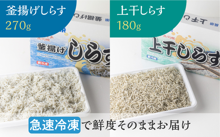 上干（180ｇ）・釜揚げ(270g) しらすセット 小分け 便利 おつまみ 酒の肴 ごはんのお供 家飲み おうち時間 しらす丼 におすすめ お取り寄せ お取り寄せグルメ 食品 送料無料 産地直送 10,000円