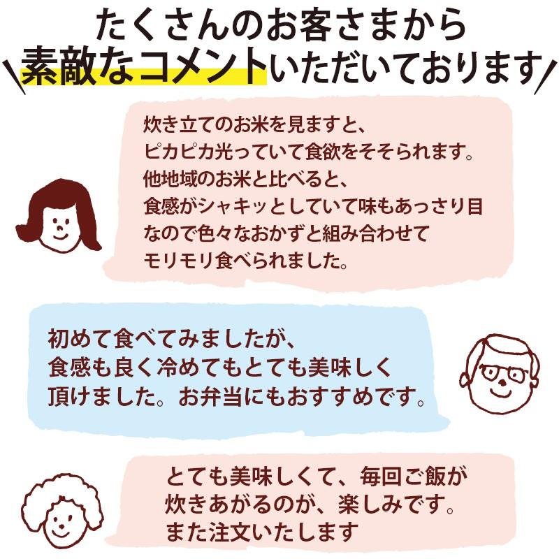 お米 5kg 送料無料 新潟産コシヒカリ 竹人形 ギフト 内祝い