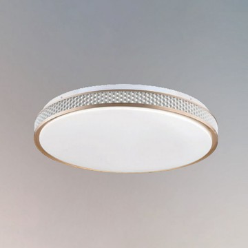 48W三色變光吸頂燈 B209-81-24936