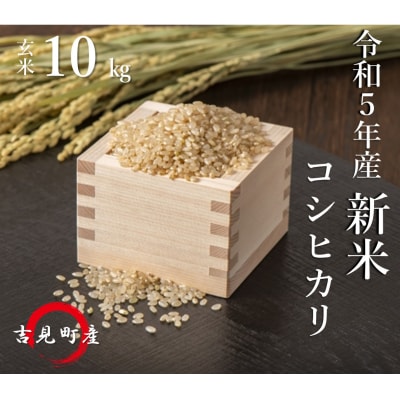 [令和5年産]埼玉県比企郡吉見町産 コシヒカリ  10kg