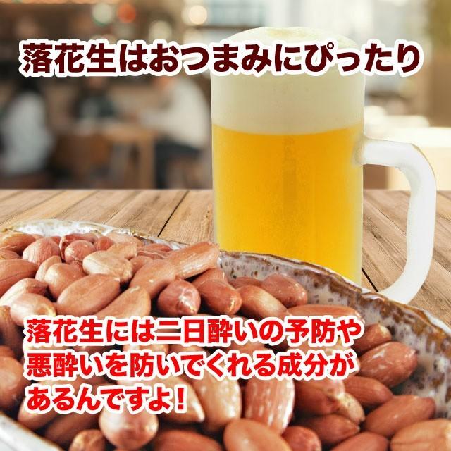 落花生 ピーナッツ 国産 ポイント消化 送料無料 105g 静岡県産 千葉県産 希少な静岡遠州産