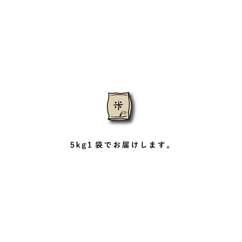 新米 米 お米 5kg ひとめぼれ 熊本県産 令和5年産 精米5kg ひとめぼれ