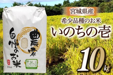 米 いのちの壱 10kg   ティエスサービス   宮城県 気仙沼市 [20562173] 米 お米 精米 白米 ごはん ご飯