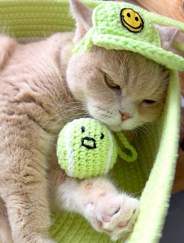 Korean Designer Brand 网球猫薄荷木天蓼猫玩具 手工