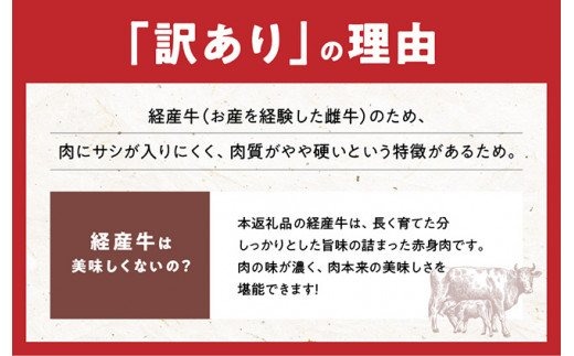 ※令和6年2月より順次発送※宮崎県産黒毛和牛切り落とし1.2kg[A] [G0674]