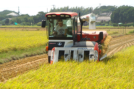 令和5年 富津産「ゆうだい21」10kg（精米）