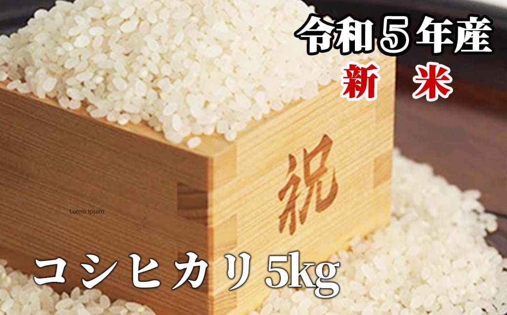 白米 5kg 令和5年産 コシヒカリ 岡山 「おおがや米」生産組合 G-af-ACZA