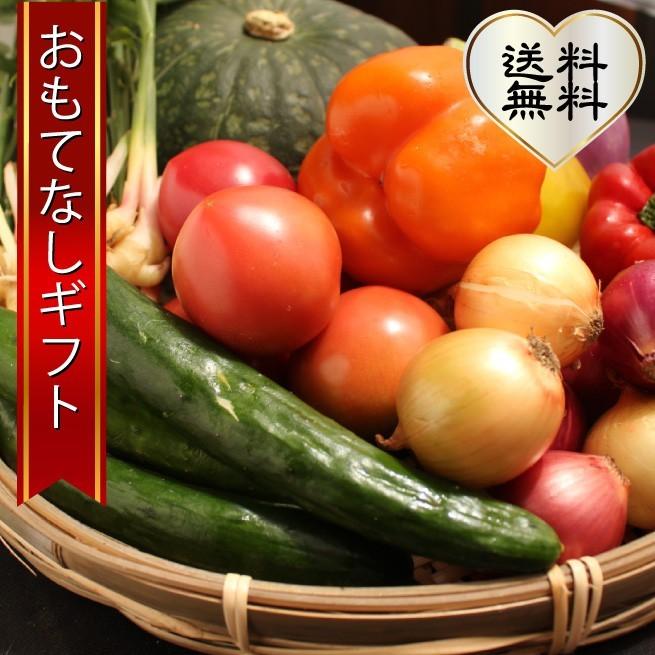 三浦野菜セット　三浦半島の畑で作られた野菜の１０種セット　4〜5人用　おもてなしギフト