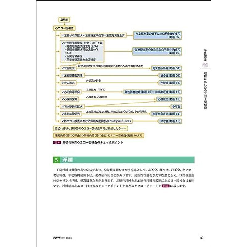 若手心エコーフェローが教える心エコーのみかた