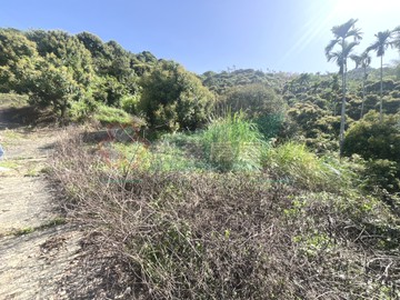 太平近市區俗賣投資景觀地｜台中市太平區中南段
