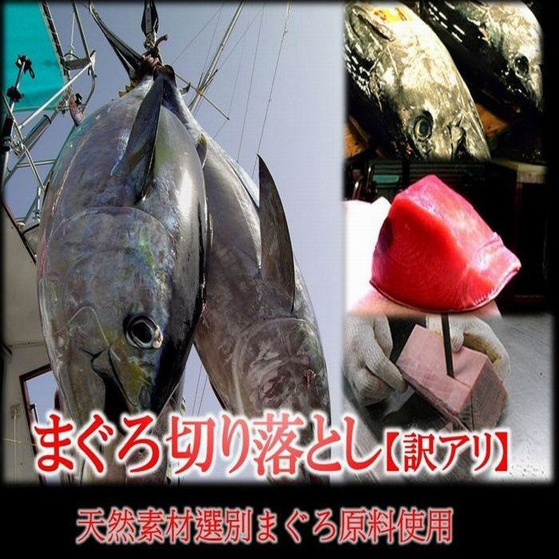 まぐろ切り落し 500g 冷凍 訳あり マグロ 鮪 刺身 鉄火丼 最安値 在宅 母の日 父の日 敬老 在宅応援 お中元 お歳暮 ギフト 通販  LINEポイント最大0.5%GET LINEショッピング