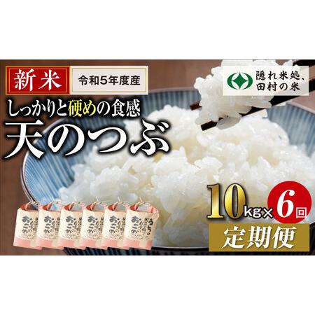 ふるさと納税 ＼新米／定期便6回 田村産 天のつぶ10kg お米 福島県 田村市 田村 贈答 美味しい 米 kome コメご飯  特Aランク  一等.. 福島県田村市