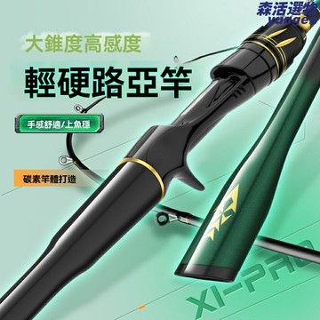 【遠投微物王】路亞竿 海竿 釣魚竿 碳素滑竿 手竿 M調性 輕量化設計 強力遠投 微物泛用 溪流海釣必備