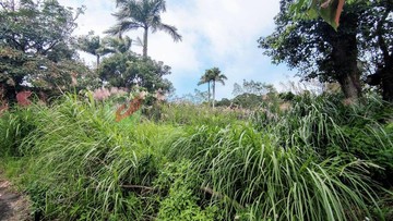 大溪正瑞安路千坪農地送合法農舍｜桃園市大溪區康安段