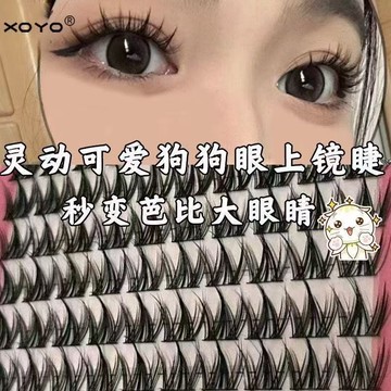🎀熱銷爆款🎀 XOYO犬系小奶狗免膠假睫毛100簇大容量懶人濃密自然漫畫模擬分段