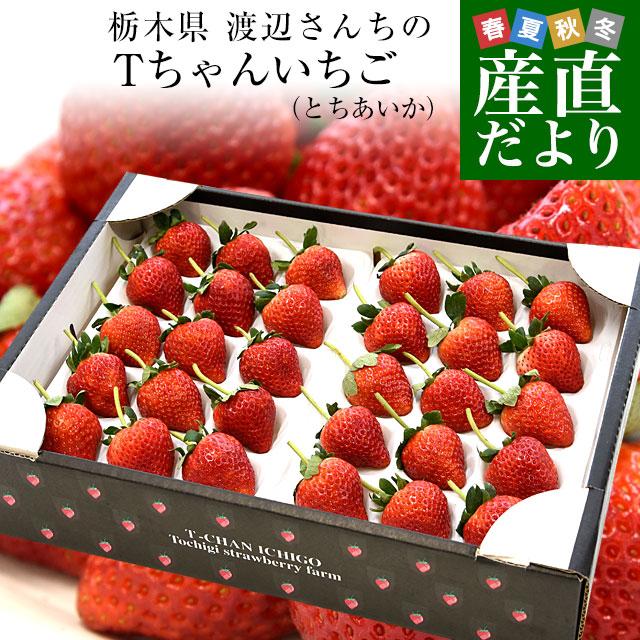 栃木県より産地直送 渡辺さんちのTちゃんいちご(とちあいか)　350g以上×2パック3Lサイズ(9粒から15粒×2P) 苺 いちご イチゴ 送料無料 ※クール便