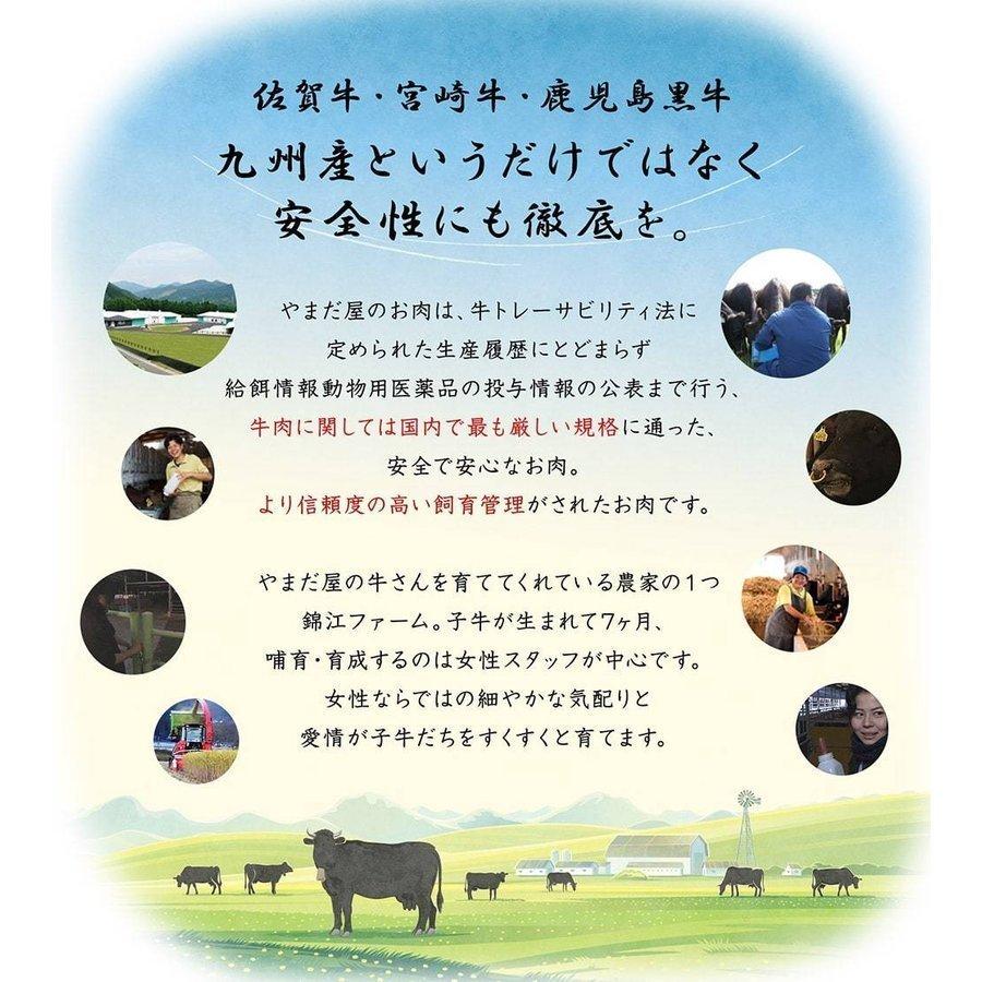 和牛 焼肉用 希少部位 A5 特上 カルビ 300g 佐賀牛 宮崎牛   焼肉 焼き肉 父の日ギフト プレゼント 食品 食べ物