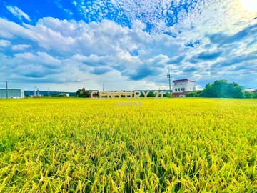 台中土地-溪尾經濟坪數方正小田｜台中市烏日區溪尾南段