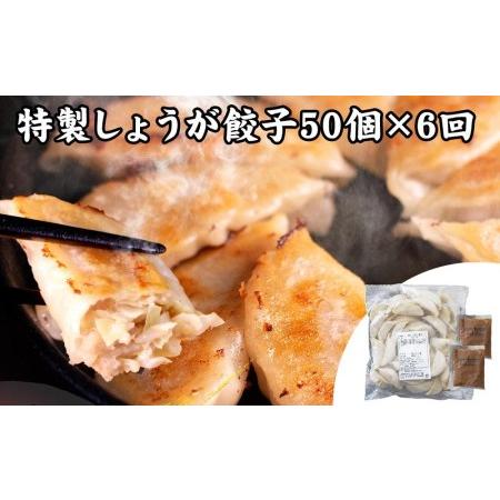 ふるさと納税 神戸名物 味噌だれ餃子2種／計100個（50個×2パック） ×6回 兵庫県神戸市