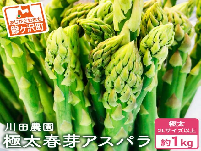 岩木山高原の極太アスパラガス！約1kg（2L以上）青森県鰺ヶ沢町産