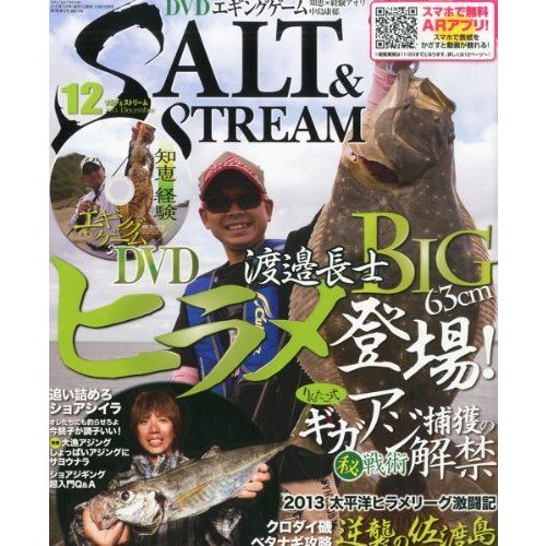 SALT  STREAM (ソルトアンドストリーム) 2013年 12月号 雑誌