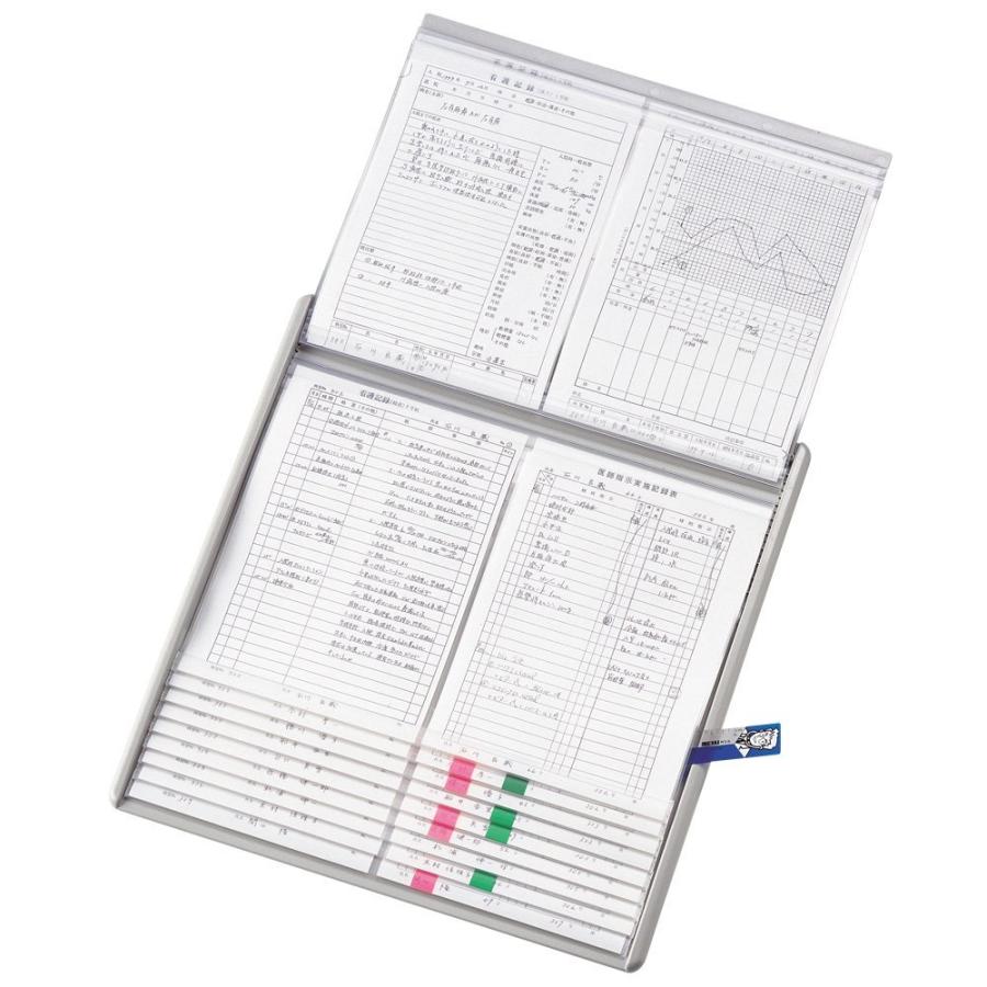 LIHIT LAB. lihit-lab. リヒトラブ カラーカードインデックス A4 ブルー HC112C-2