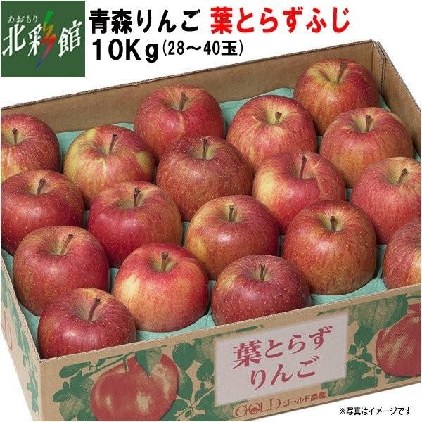 送料込み・産地直送 青森　■発送期間：11月下旬〜2月下旬