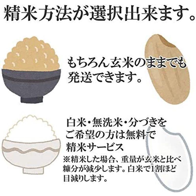 当日精米山形県産 はえぬき 30kg 紙袋 令和4年度産 (1分づき 9.9kg×3袋)