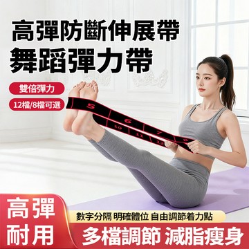 隔日達🔥數字格段舞蹈彈力帶【8-12段】阻力帶 拉伸條 彈力帶 瑜珈伸展帶 開背美背 體式拉力帶 增肌抗阻 舞蹈練功帶