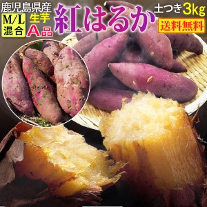 予約開始 さつまいも 紅はるか A品 生芋M Lサイズ混合130g～300ｇ土つき 鹿児島 産地直送 3kg×1箱 送料無料 S常